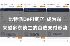 比特派DeFi资产  成为越来越多东谈主的首选支付形势