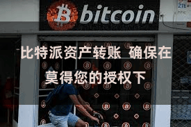 比特派资产转账  确保在莫得您的授权下
