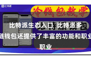 比特派生态入口  比特派多链钱包还提供了丰富的功能和职业